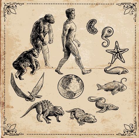 Imagenes De La Teoria De La Evolucion De Charles Darwin Slipingamapa