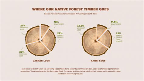 End Native Forest Logging Wa Forest Alliance