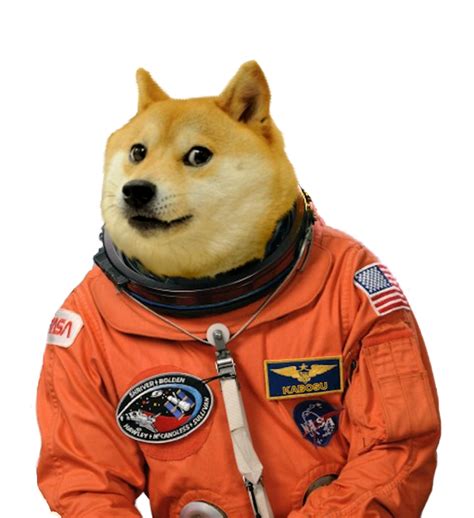 Doge Png High Quality Image Png All