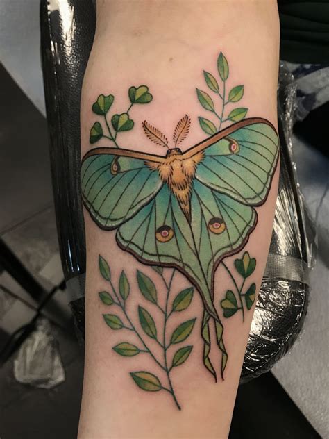 Moth Tattoo Tattoo Designs For Women