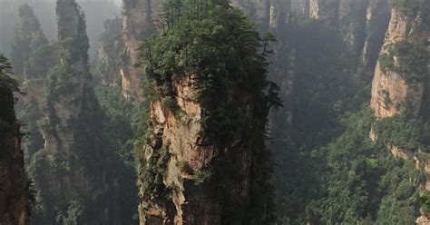 Zhangjiajie National Forest Park Private Tagestour Getyourguide