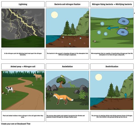 The Water Cycle Storyboard By 11fc0de4