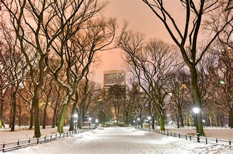 Winter night in central park, new york, 2009 (n1043444). Central Park Night, New York City Stock Photo - Image of ...