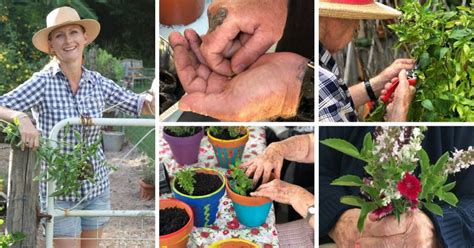 Therapeutic Horticulture Training Soil To Supper