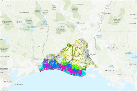 High Resolution Landcover For The Western Gulf Coastal Plain Of