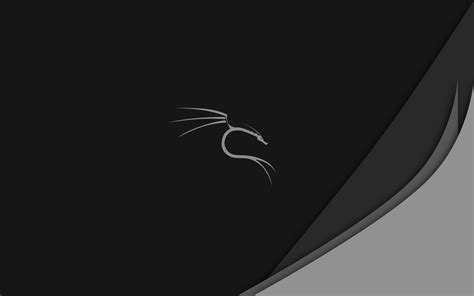 Kali Linux Wallpapers 4k Hd Kali Linux Backgrounds On Wallpaperbat