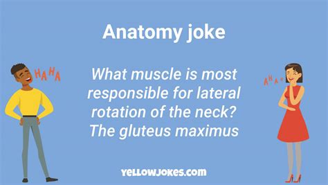 Hilarious Anatomy Jokes That Will Make You Laugh