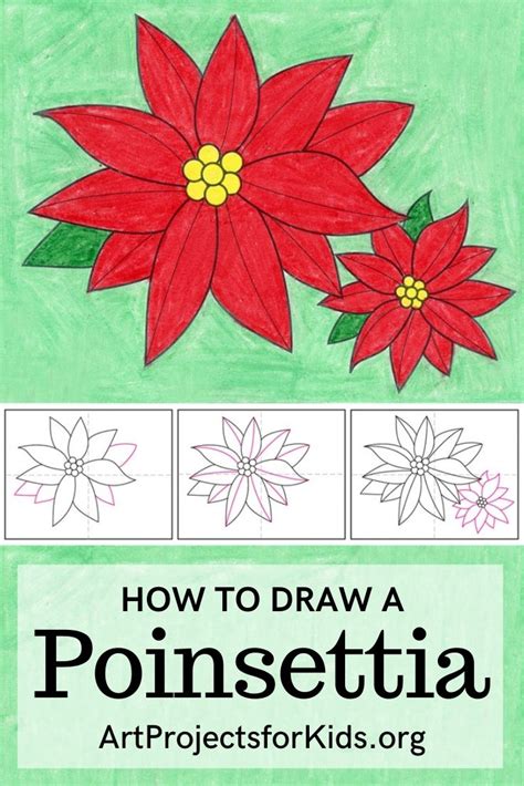 Easy How To Draw A Poinsettia Tutorial Poinsettia Coloring Page