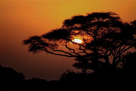 African Safari Sunset Photograph By Marites Wilson Pixels