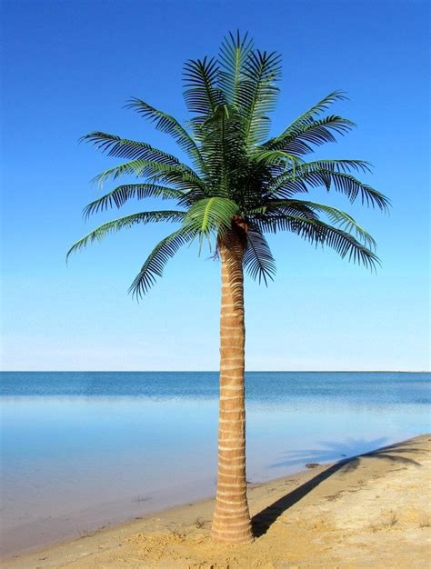 Outdoor Artificial Coconut Palm Tree With 27 Phoenix Leaves Outdoor