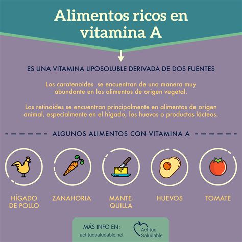 Alimentos Ricos En Vitamina A Y Sus Propiedades Health Tips