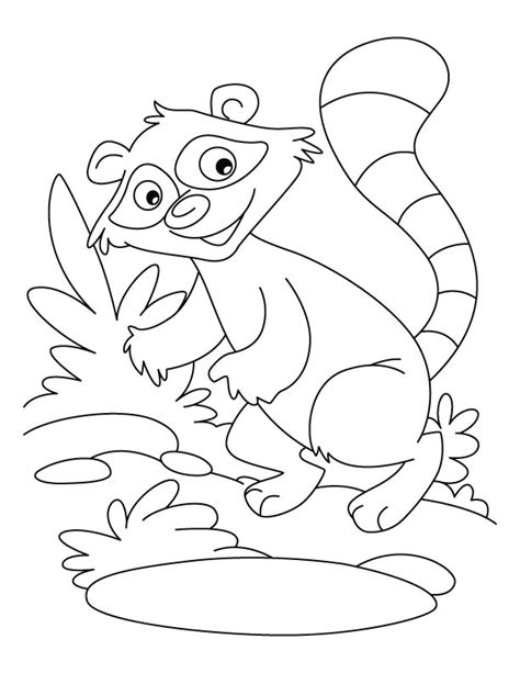 Select from 35657 printable coloring pages of cartoons, animals, nature, bible and many more. Raccoon Coloring Pages - GetColoringPages.com
