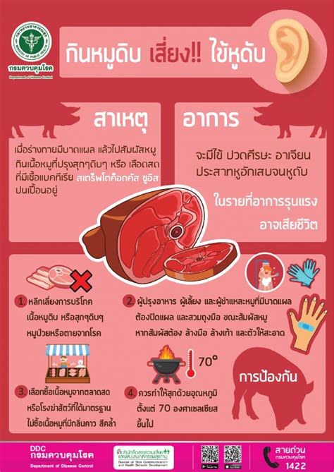 หมอเตือน! กิน 'หมูสุกๆ ดิบๆ' เสี่ยงป่วยไข้หูดับ