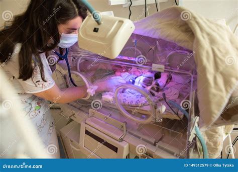 Female Doctor Examining Newborn Baby In Incubator Stock Image Image