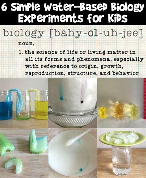 Biology Project Ideas For High School At Margaret May Blog