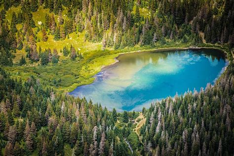 Hd Wallpaper Aerial View Of Lake Surrounded By Trees Forest Scenic