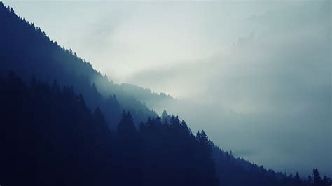 Hd Wallpaper White Fog Mountains Nature Forest Mist Philipp