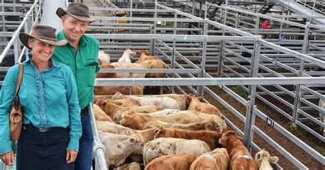 Cqlx Gracemeres First Kubota Cattle Series Special Weaner And Feeder Sale For The Year Attracts