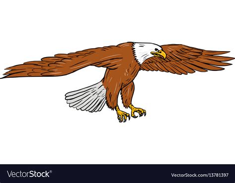 Bald Eagle Swooping Drawing Royalty Free Vector Image