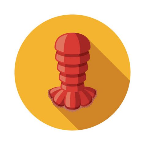 Lobster Tail Food Illustrations Royalty Free Vector Graphics And Clip