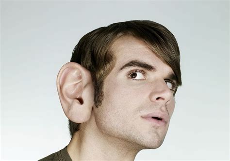 Are The Ears Differentwhats The Difference Between Poor Peoples