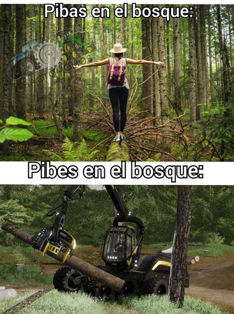 Top memes de Bosque en español Memedroid