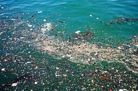The Pacific Garbage Patch A Monumental Tribute To Our Love Affair With