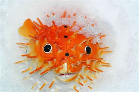 Fugu A Japanese Delicacy Of Raw Or Cooked Pufferfish Japanese Food