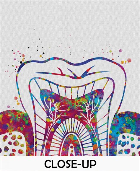 Molar Tooth Watercolor Print Tooth Anatomical Art Dental Etsy