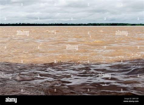 Meeting Of The Waters Amazon Hi Res Stock Photography And Images Alamy