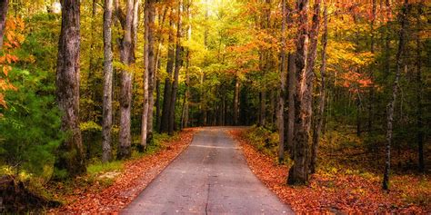 Fantastic Fall Season In The Great Smoky Mountains 38 Pics