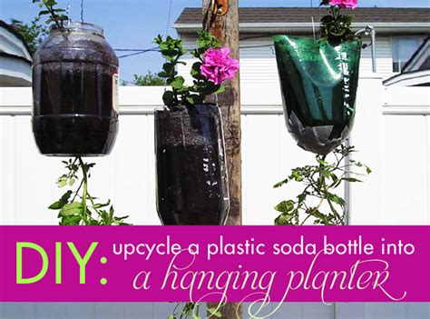 How To Make A Hanging Planter With A Recycled Plastic Soda Bottle