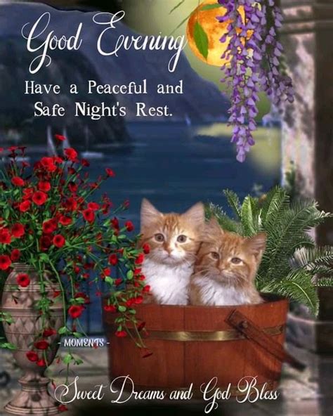 Pin By Amelia Nagel On Good Morning Blessings Good Night Blessings