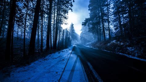 Forest Snowy Dark Evening 5k Hd Nature 4k Wallpapers Images
