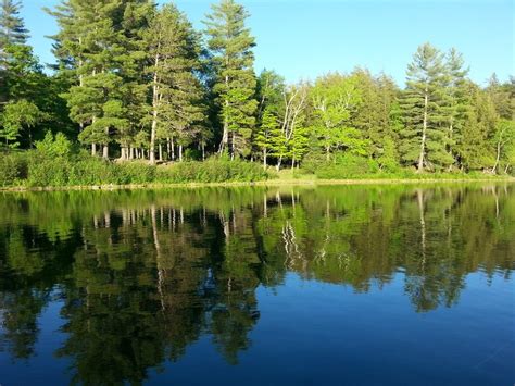 Beautiful Forest Lake Landscape Free Image Download