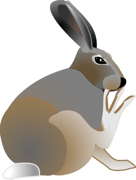 Rabbit Standing Flat Transparent Png Svg Vector File
