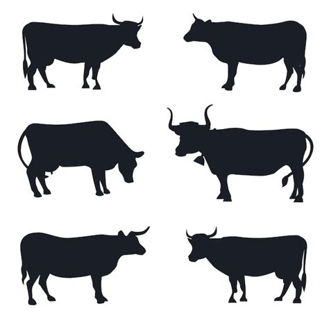 Premium Vector Set Different Cows Isolated Vectors Silhouettes