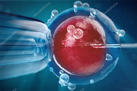 Ilustración 3d Fertilización In Vitro Inyección De Espermatozoides En