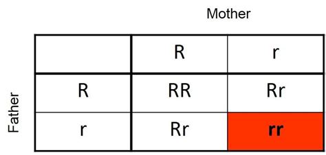 Heterozygous plants have a dominant and a recessive allele (alternate form) for a given trait. L30 and 31 Inheritance of Genetic Diseases - Medical ...