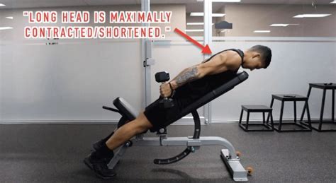The Best Science Based Tricep Exercises For Each Head Work Your Weak