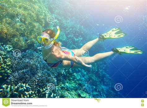 Donna Ad Immergersi Nell'acqua Tropicale Immagine Stock - Immagine di swimming, radura: 77559979