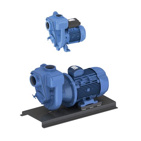 Gmp Electric Surface Trash Self Priming Pumps Pumps From Uk