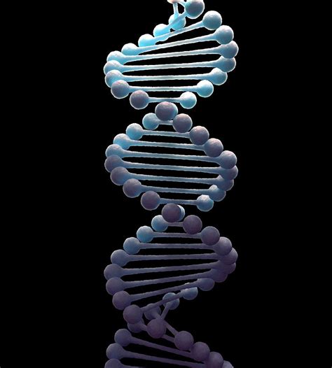 Dna Molecule Artwork By Andrzej Wojcicki