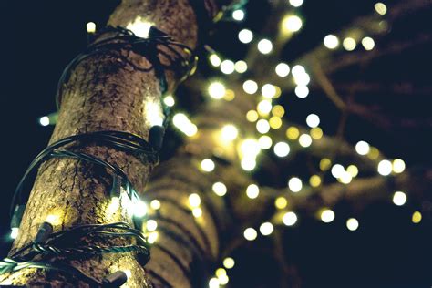 #me #oftd #aesthetic #fishnets #christmas lights #chubby #fashion #merry christmas #daddy #thick thighs. 1000+ Beautiful Christmas Lights Photos · Pexels · Free Stock Photos
