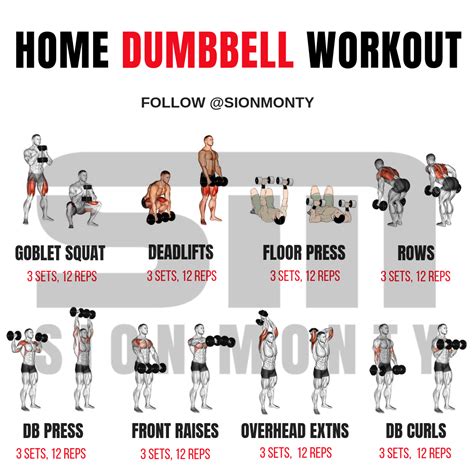 Https://tommynaija.com/home Design/dumbbell At Home Workout Plan