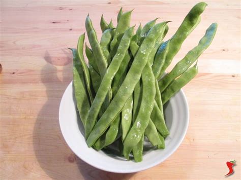 Check spelling or type a new query. ricette taccole - fagioli ricette - taccole - cucinare taccole
