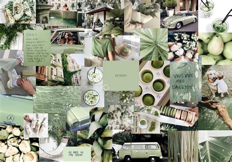 Sage Green Aesthetic Collage Wallpaper Laptop Imagesee