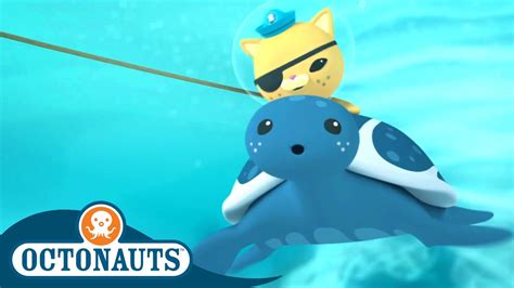 Octonauts Blue Turtle Rescue Cartoons For Kids Underwater Sea