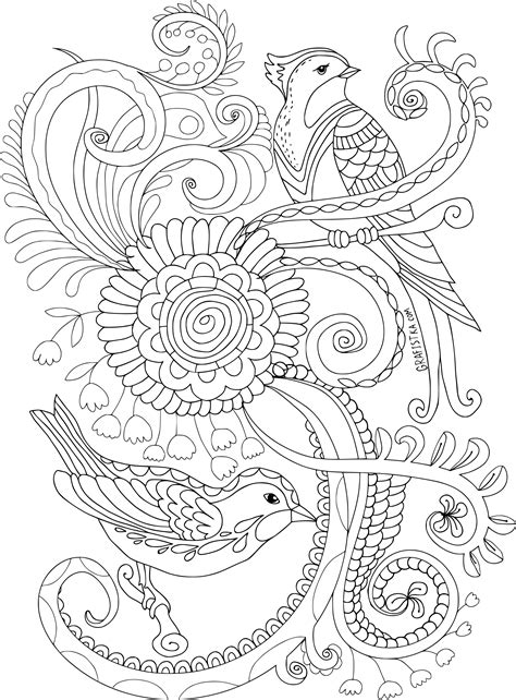 Coloriage Anti Stress Oiseau Inseparable 30000 Collections De