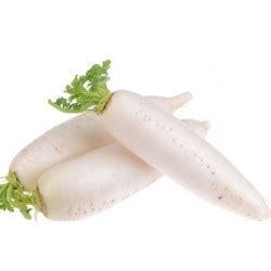 Fresh Whole Daikon Mooli G G Root Vegetable Oriental White